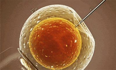 CENTROS DE REPRODUCCIÓN ASISTIDA